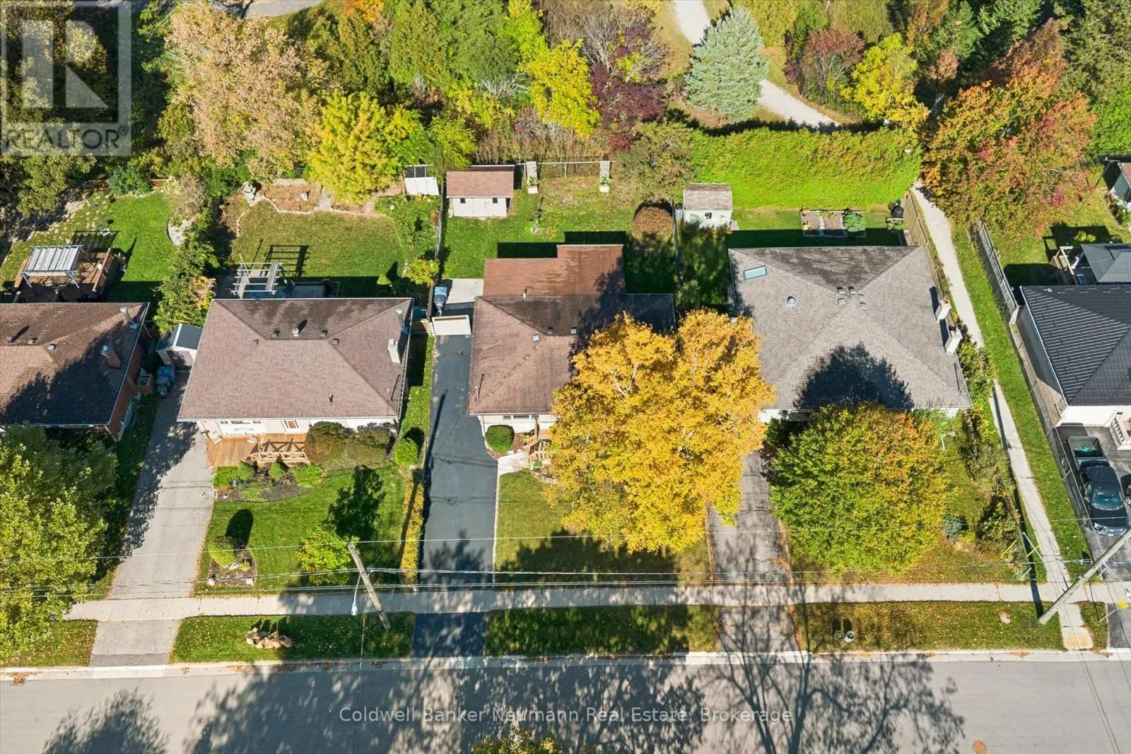 22 CARTER DRIVE