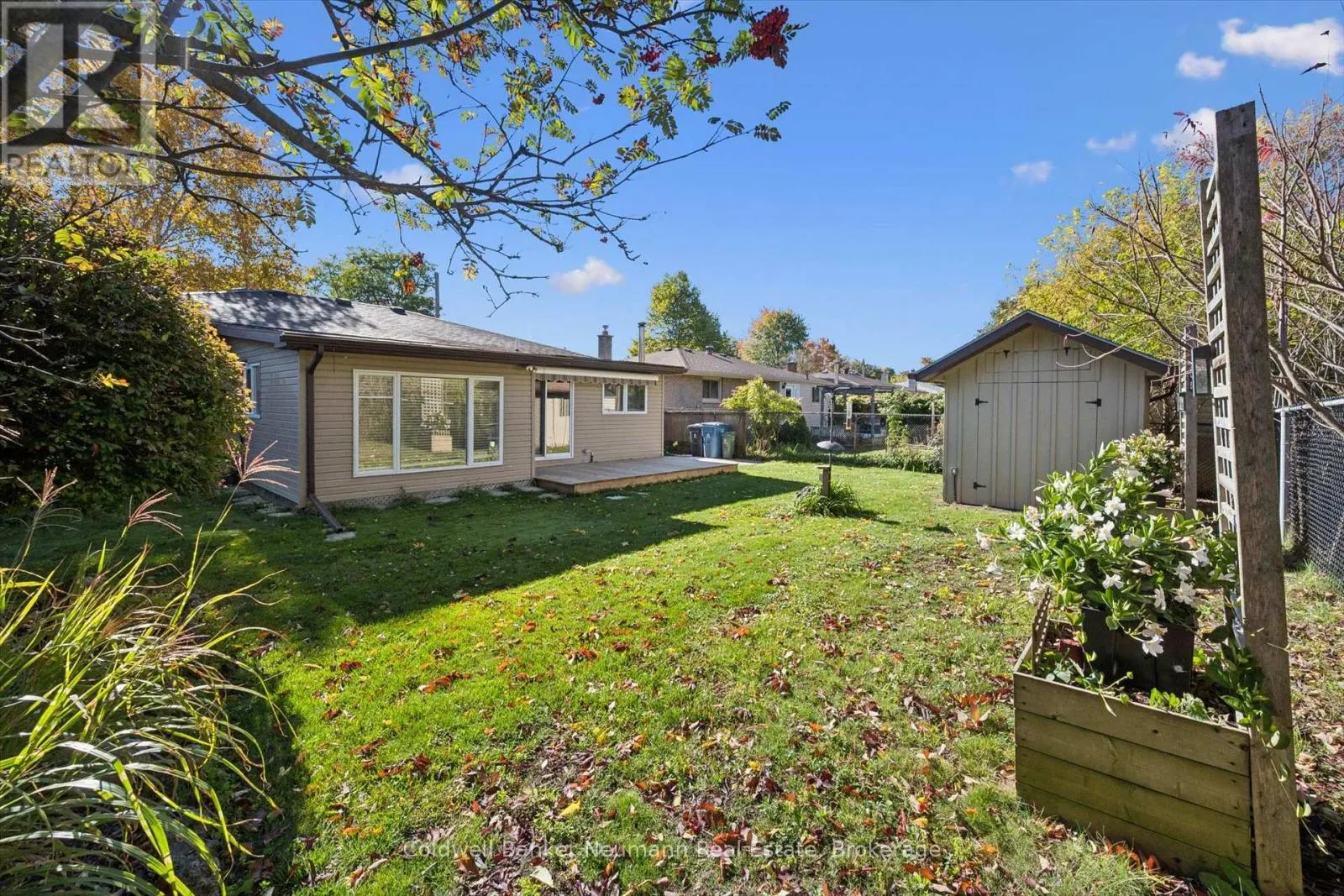 22 CARTER DRIVE