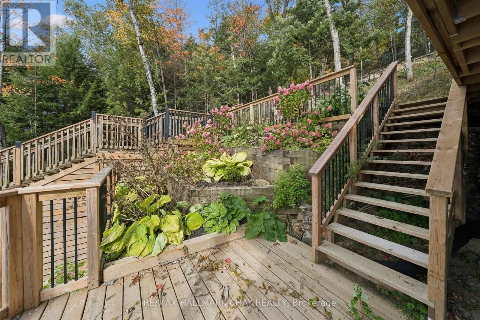 62 MILL LAKE TRAIL