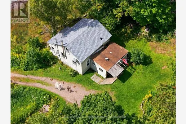 1115 HIGHWAY 124
