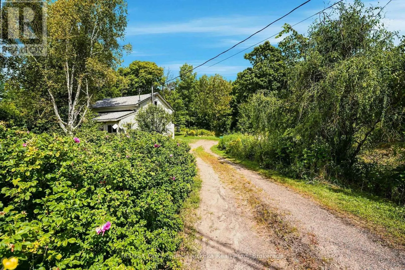 1115 HIGHWAY 124