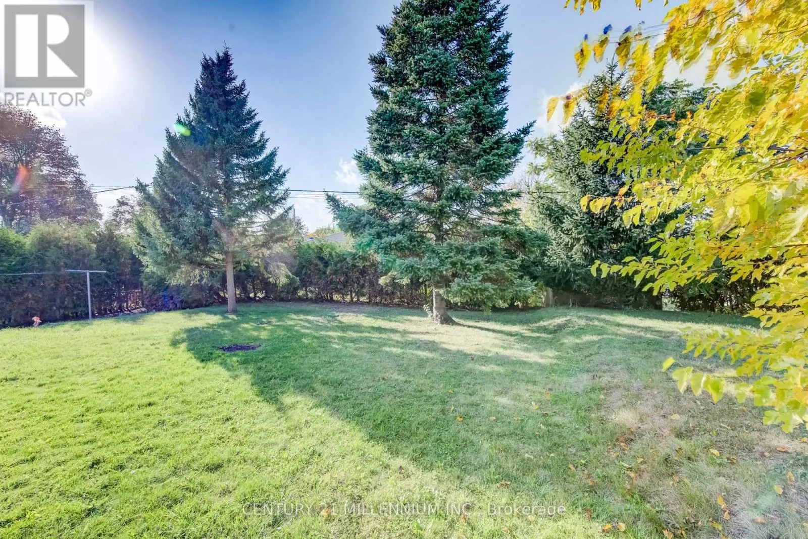 46 TRAYNOR AVENUE