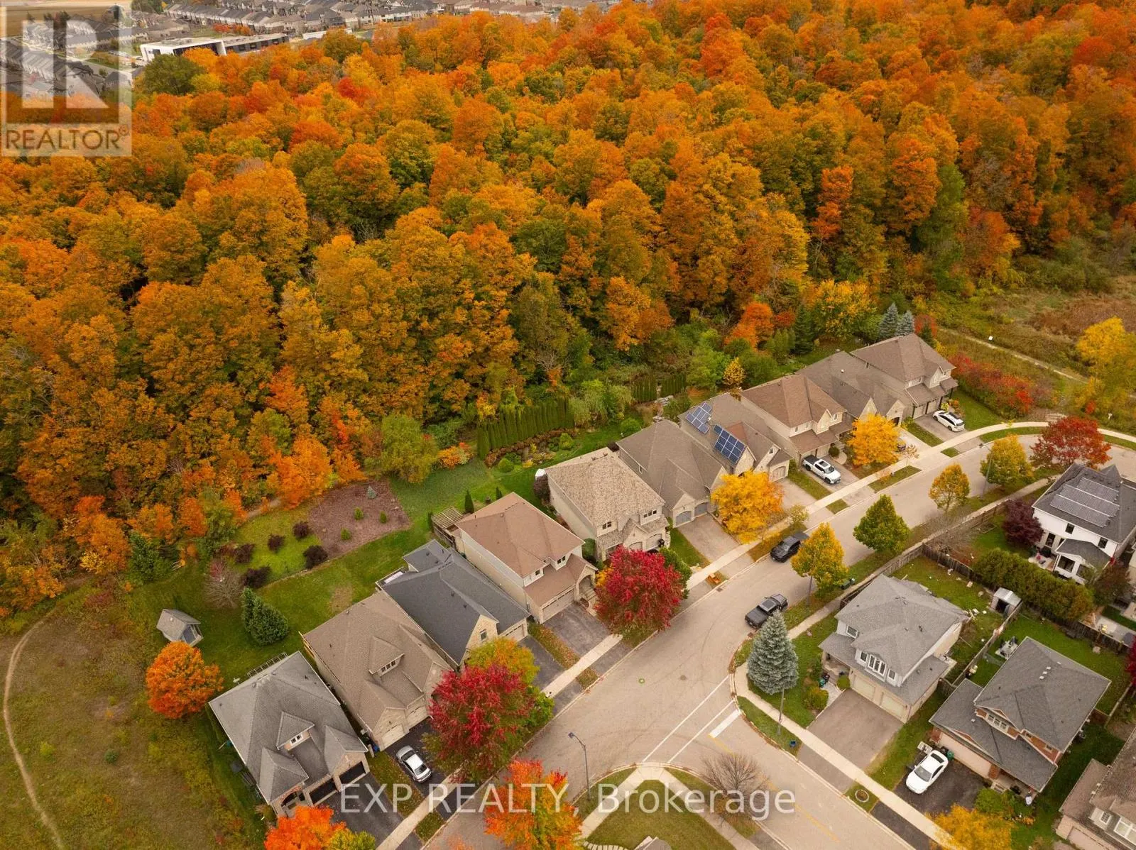 697 RHINE FALL DRIVE