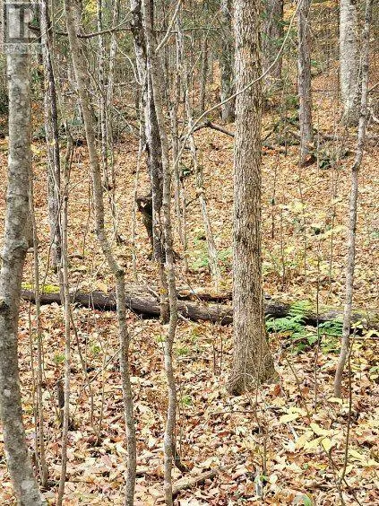 0 HAINES LAKE ROAD