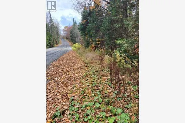 0 HAINES LAKE ROAD