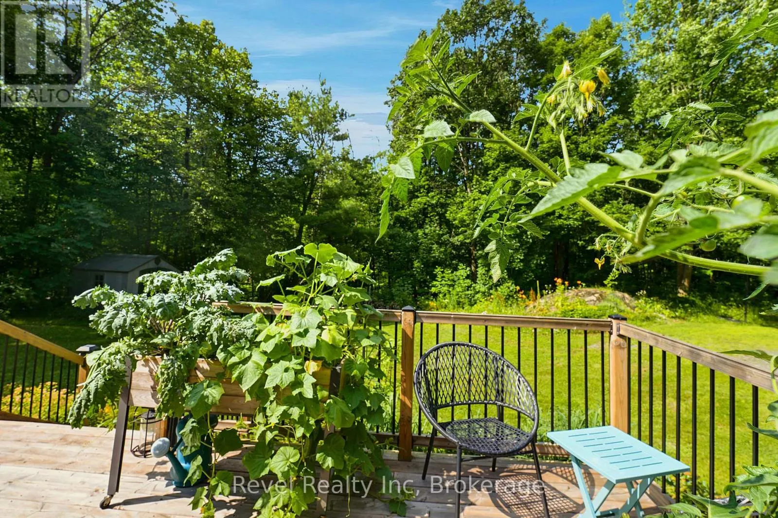 393 RANKIN LAKE ROAD