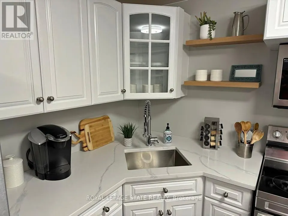 BASEMENT - 348 SPRINGBROOK AVENUE