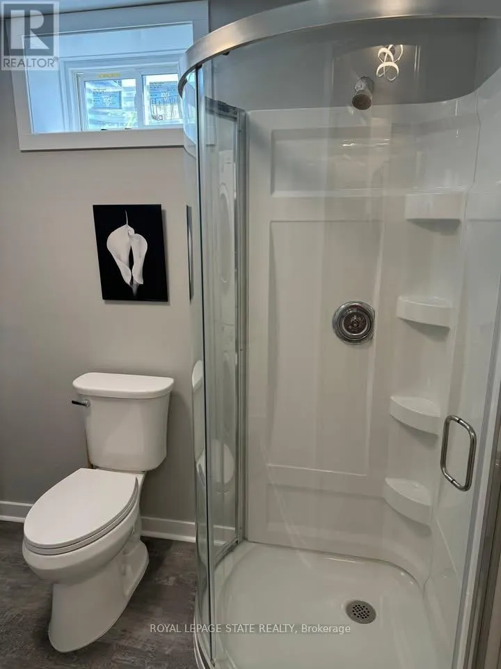 BASEMENT - 348 SPRINGBROOK AVENUE