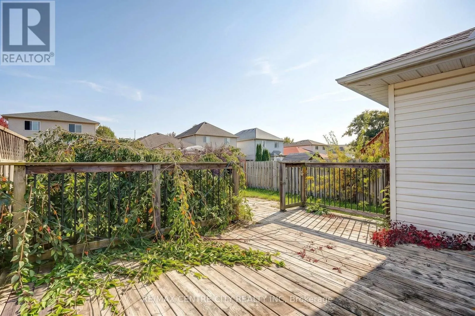 37 JUNO DRIVE