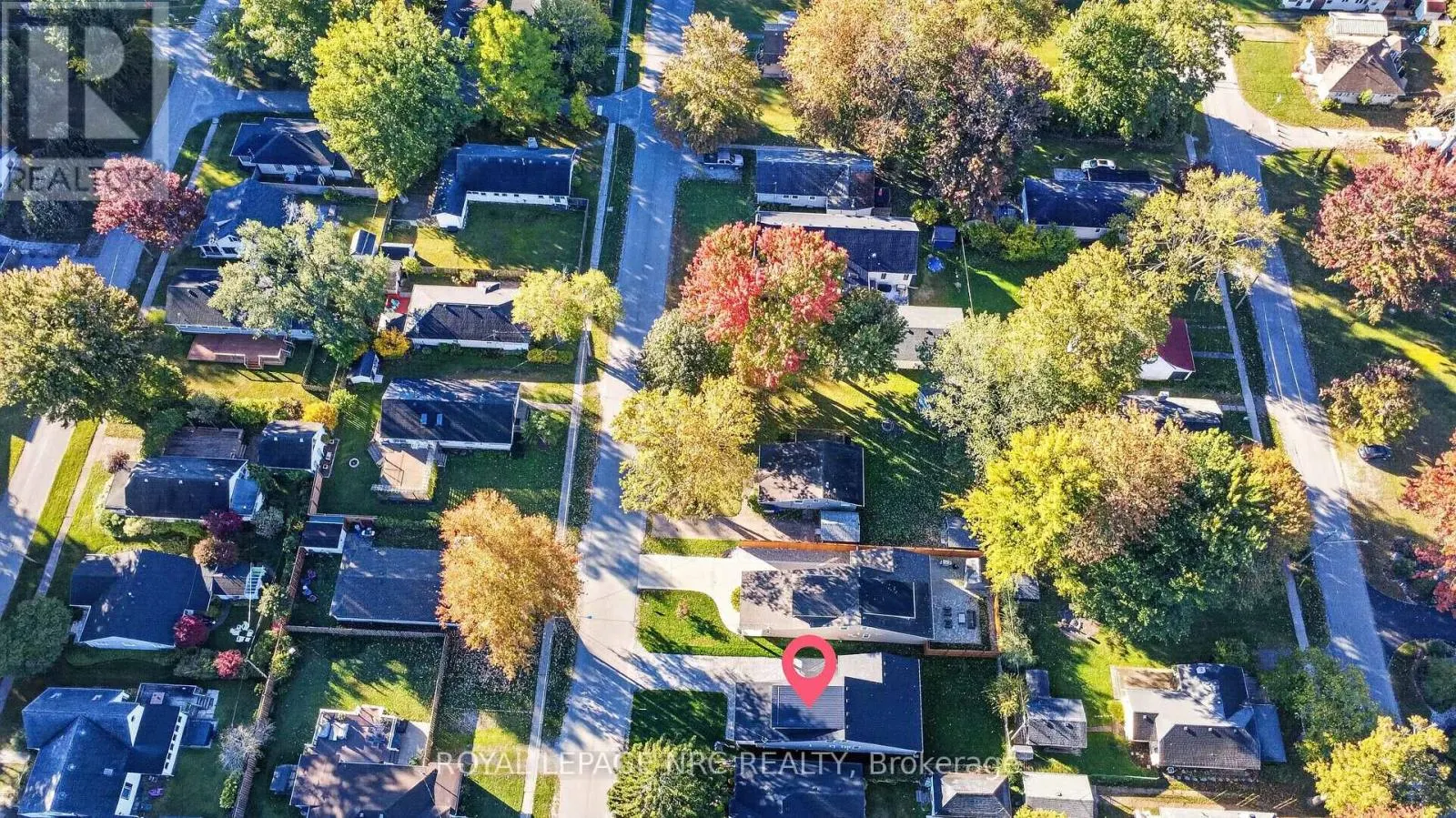 339 LAKEWOOD AVENUE