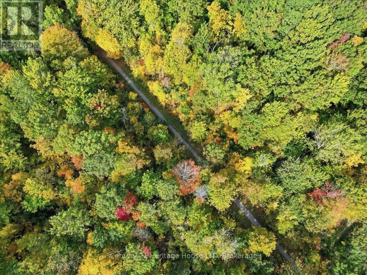 PART LOT 19, CONCESSION 1 STATION ROAD