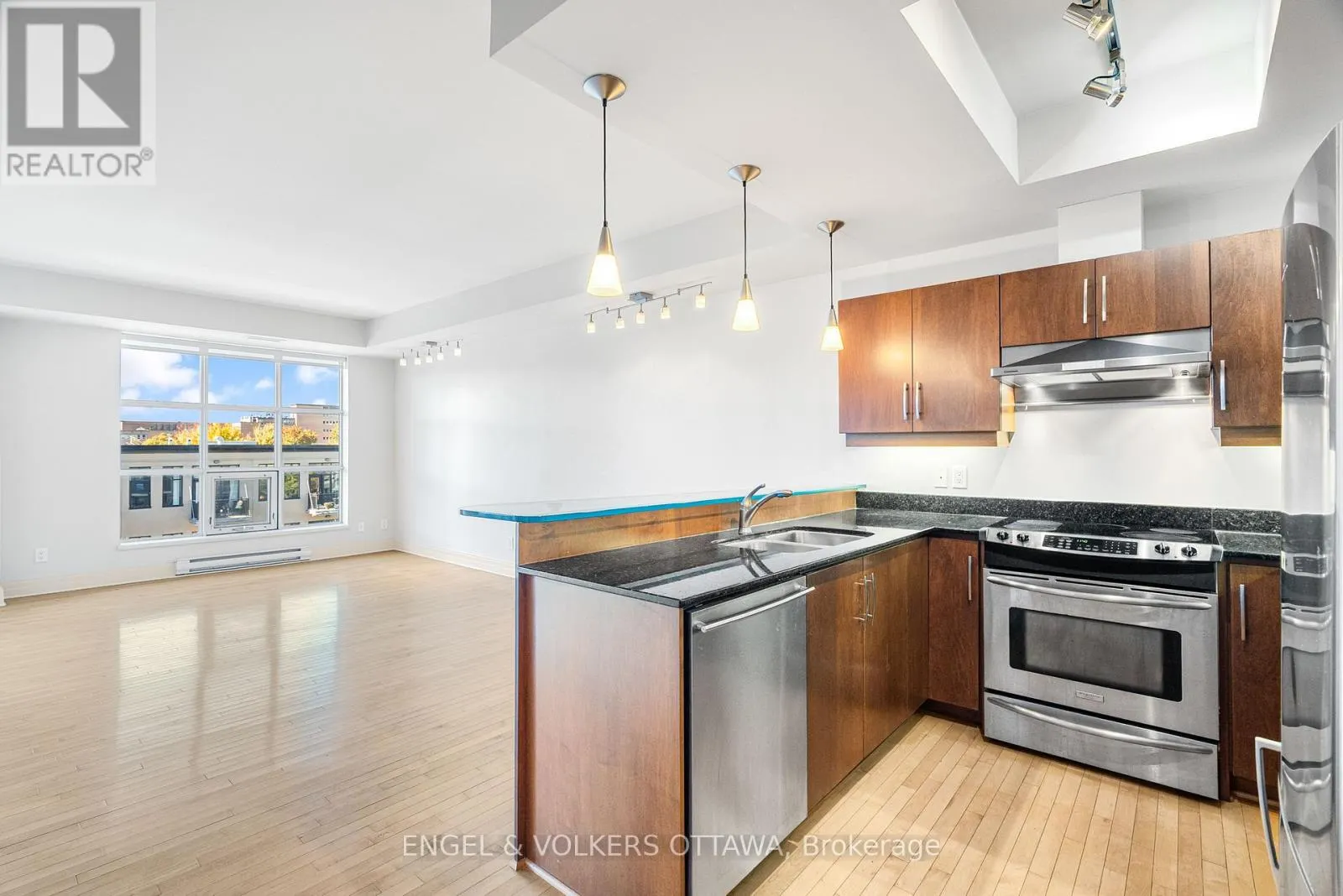 507 - 290 POWELL AVENUE