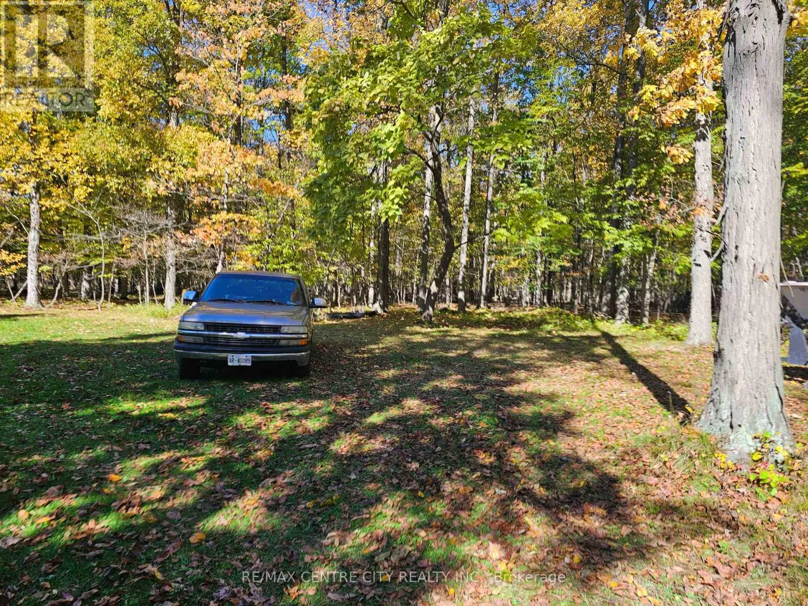 39306 BUSH LINE