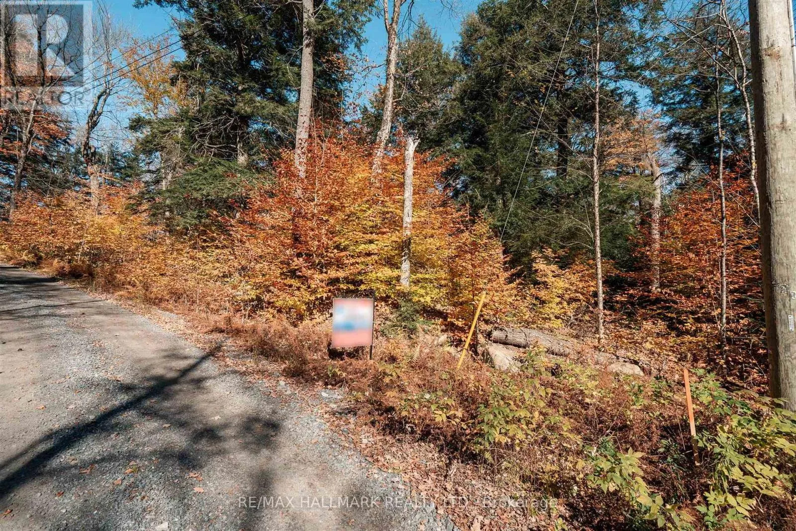 UNIT 11 LOT 5 - 1310 CAMEL LAKE ROAD