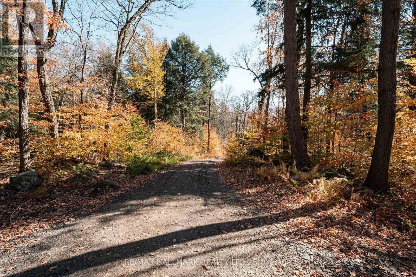 UNIT 11 LOT 5 - 1310 CAMEL LAKE ROAD