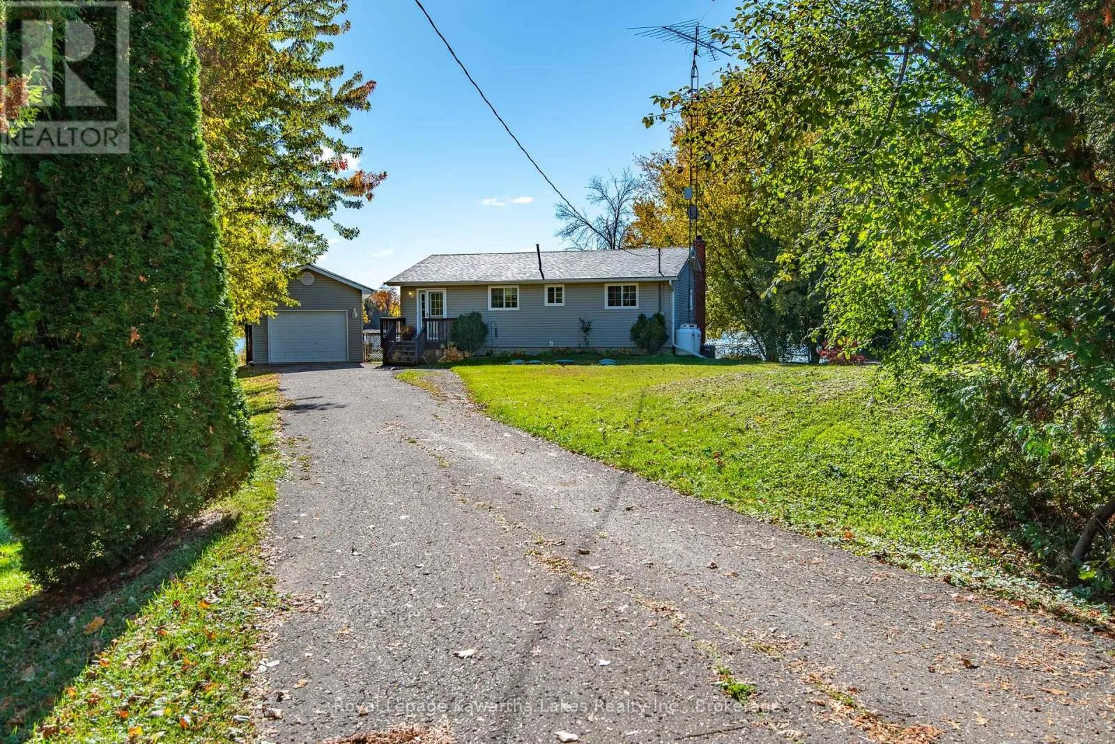 222 O'REILLY LANE