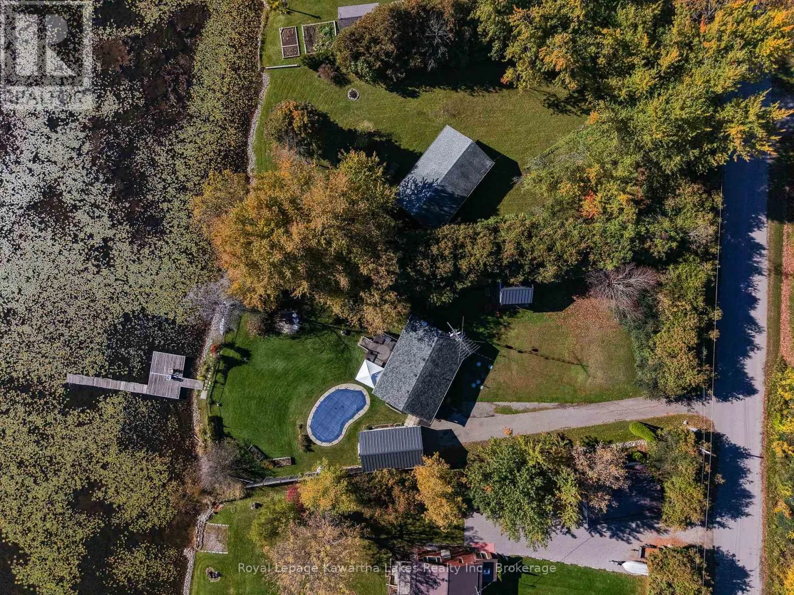 222 O'REILLY LANE