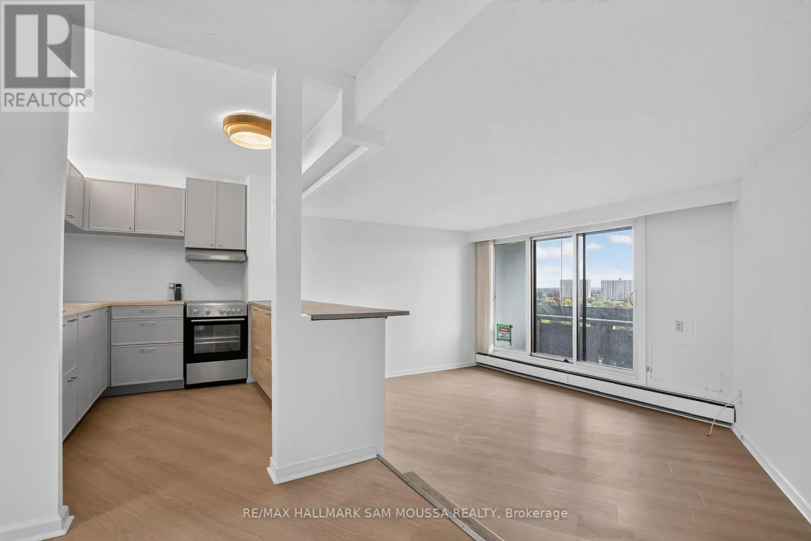 1309 - 1171 AMBLESIDE DRIVE