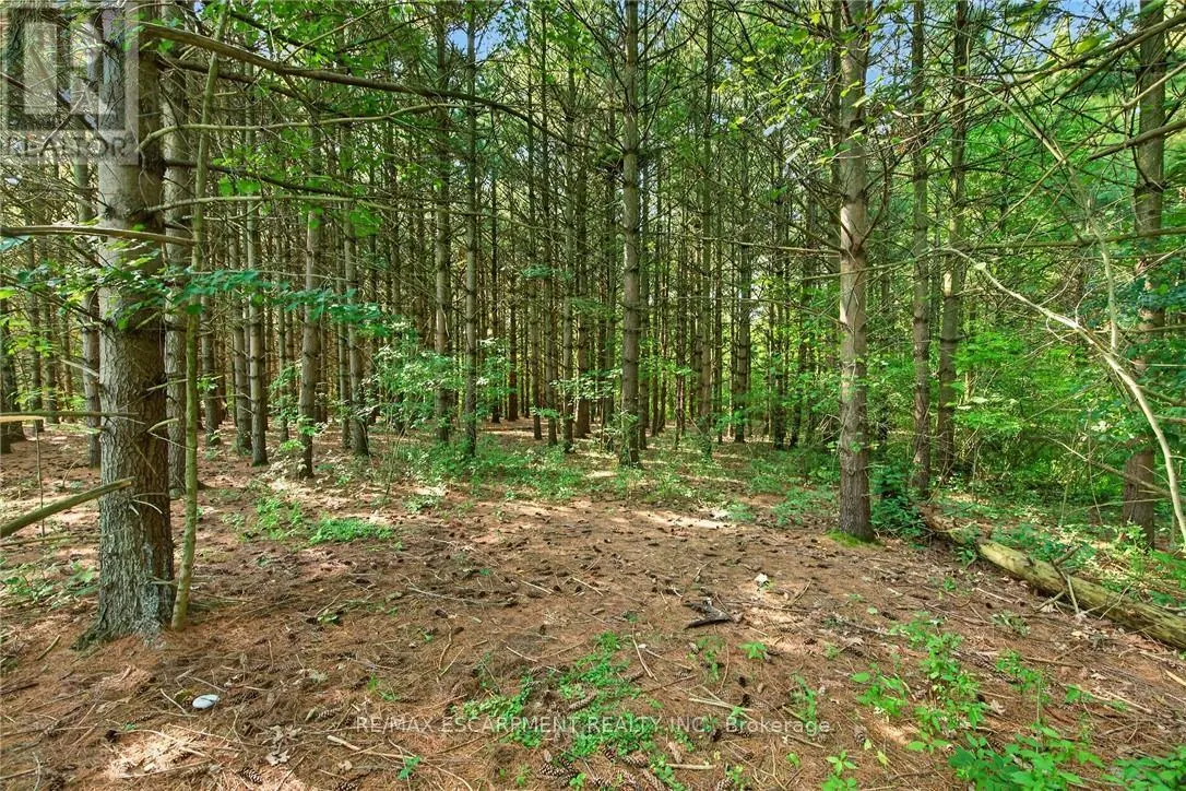 147 CONCESSION 1 ROAD SOUTH