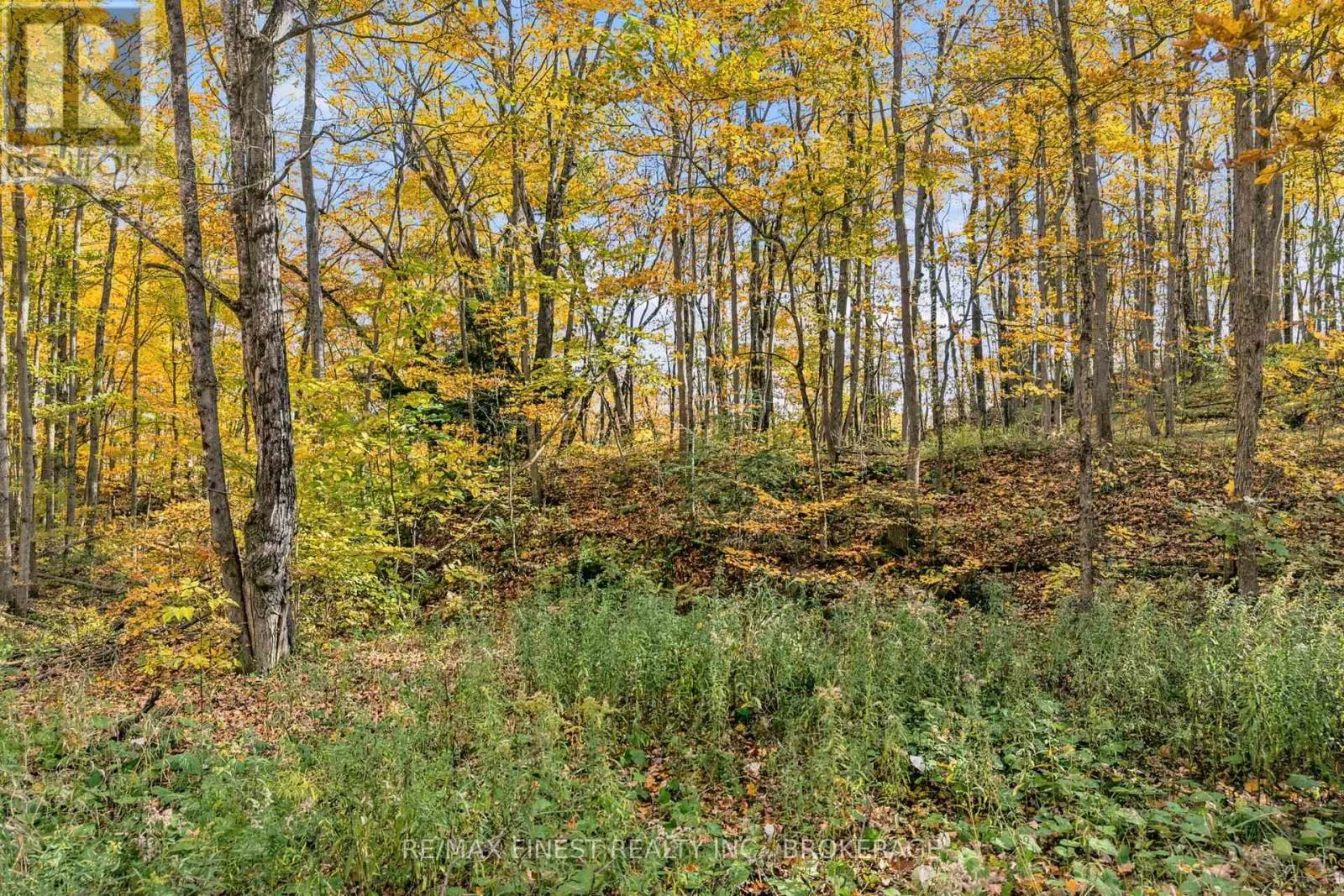 LOT 0 SWEETFERN LANE