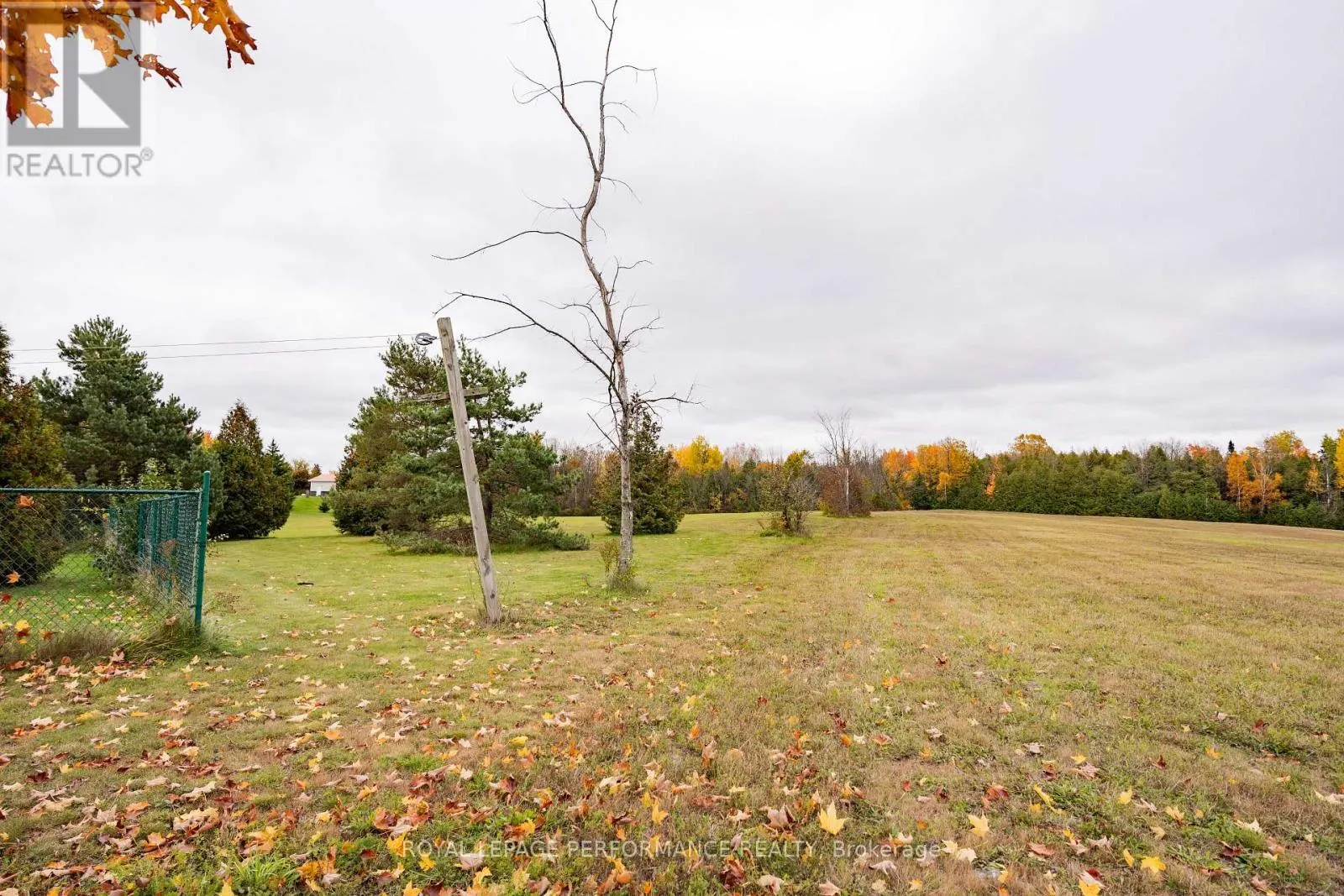 19976 COUNTY 43 ROAD