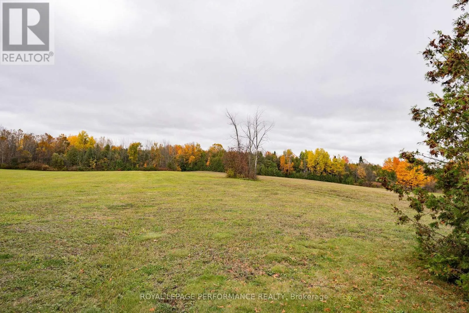 19976 COUNTY 43 ROAD