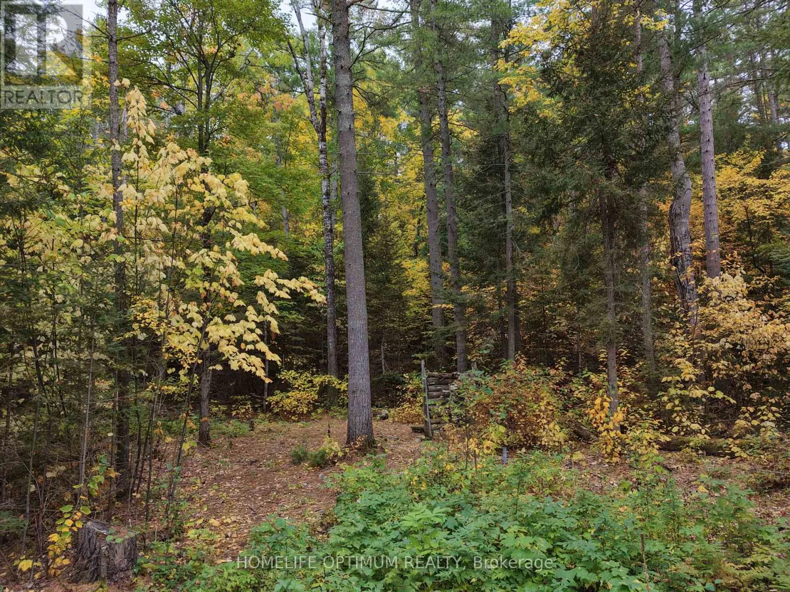 149 BUCKSHOT ROAD