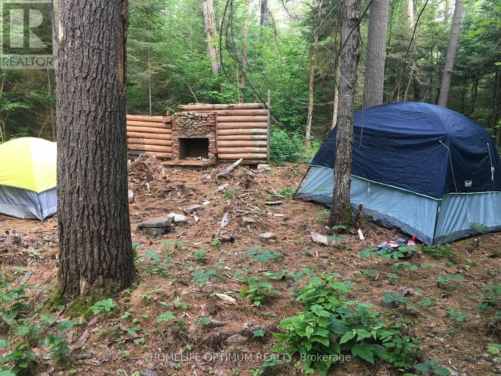 149 BUCKSHOT ROAD