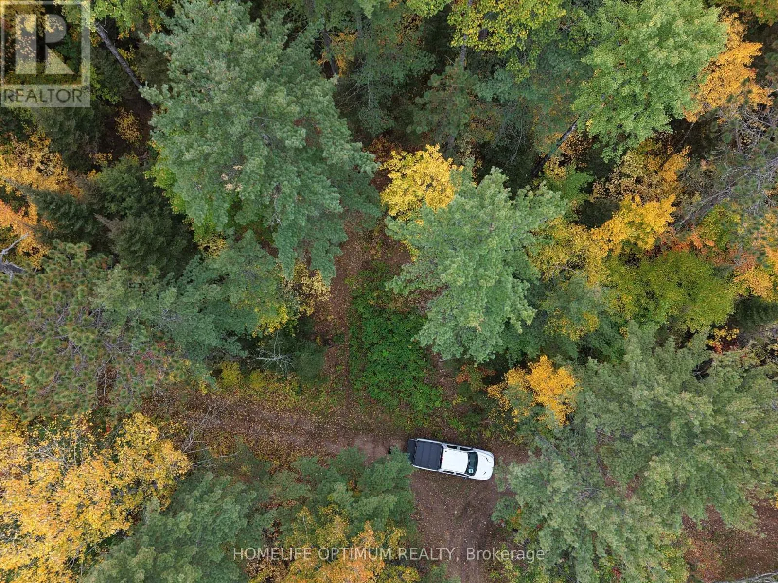 149 BUCKSHOT ROAD