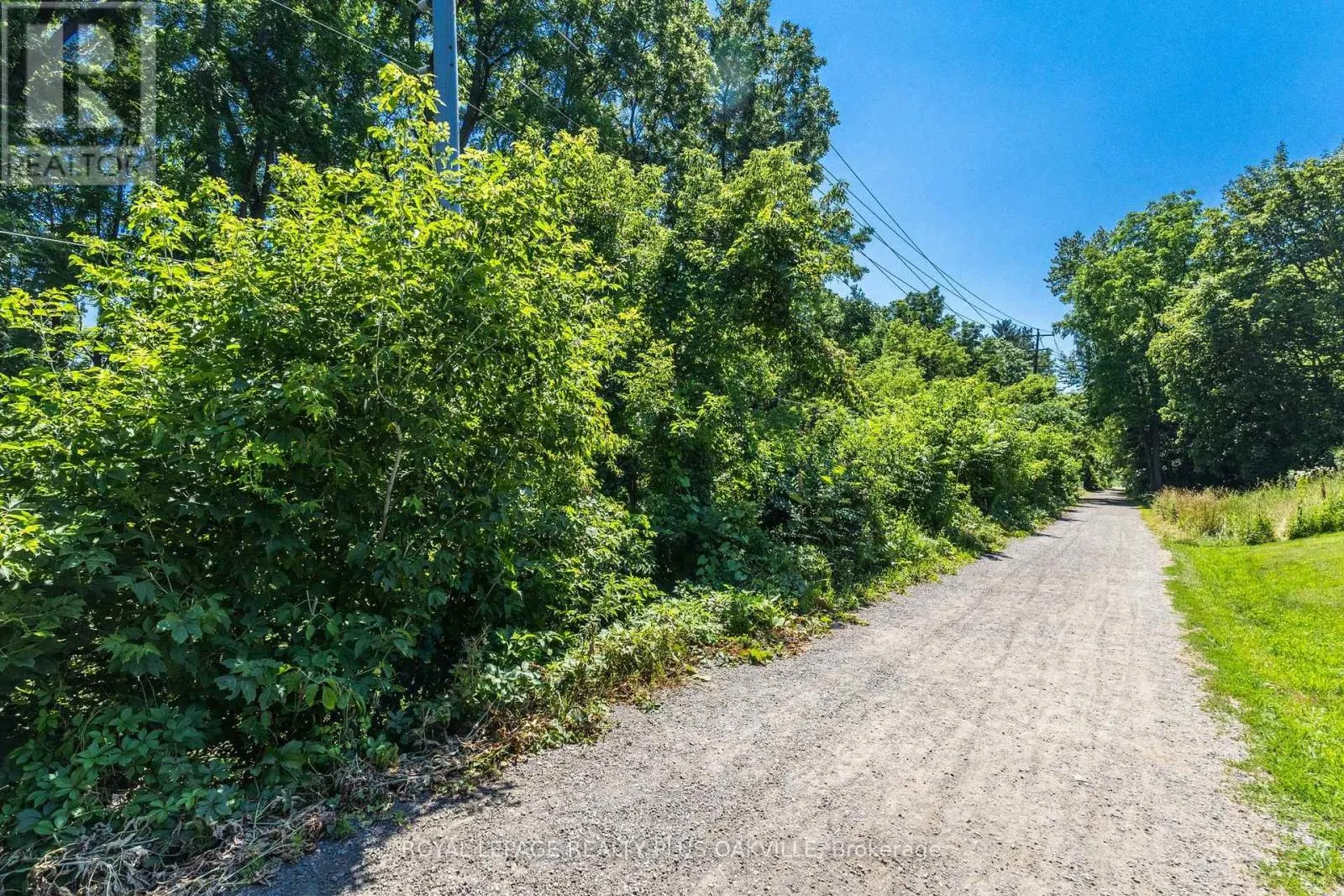 340 CLARENDON DRIVE