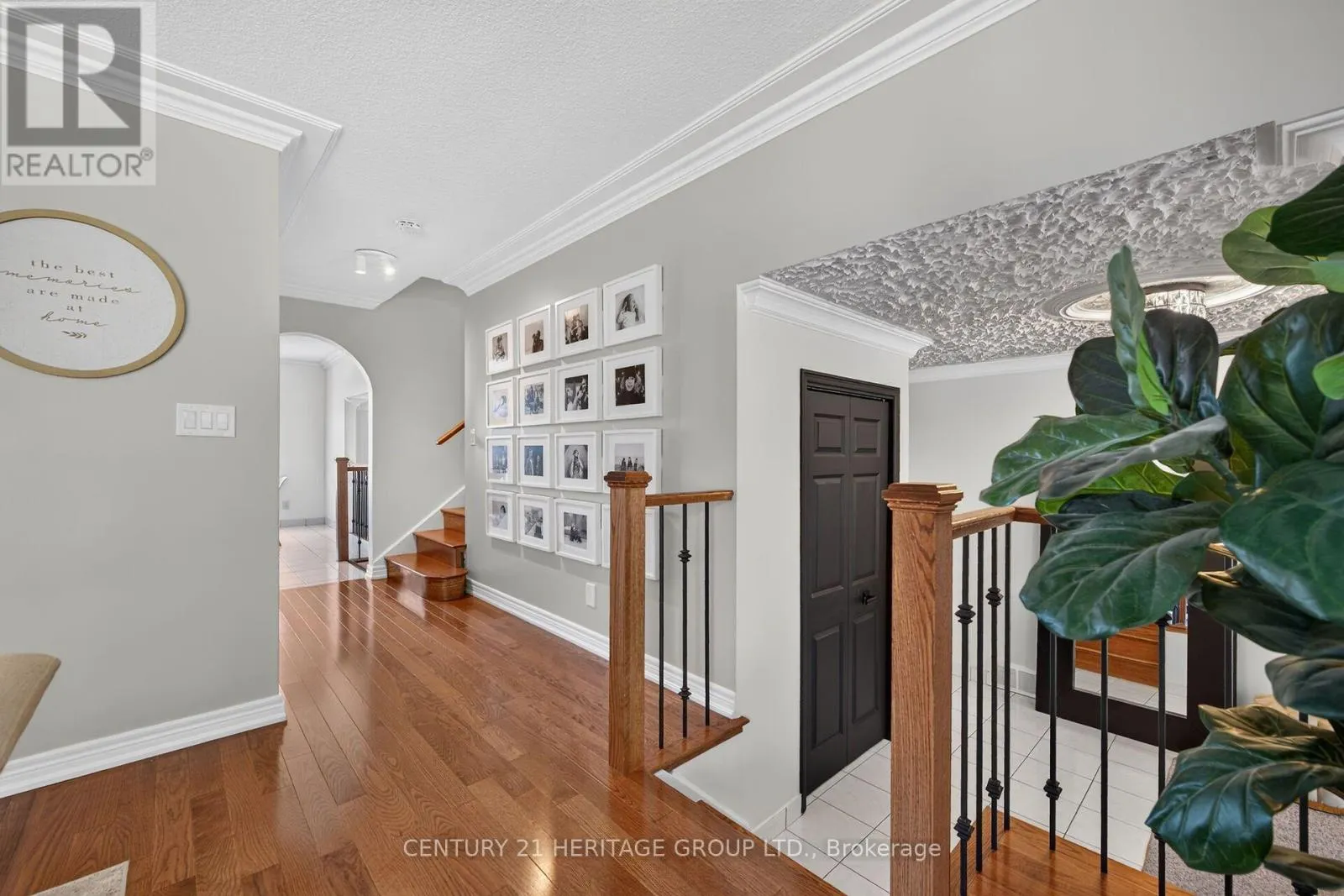 19 MEADOWBROOK CRESCENT