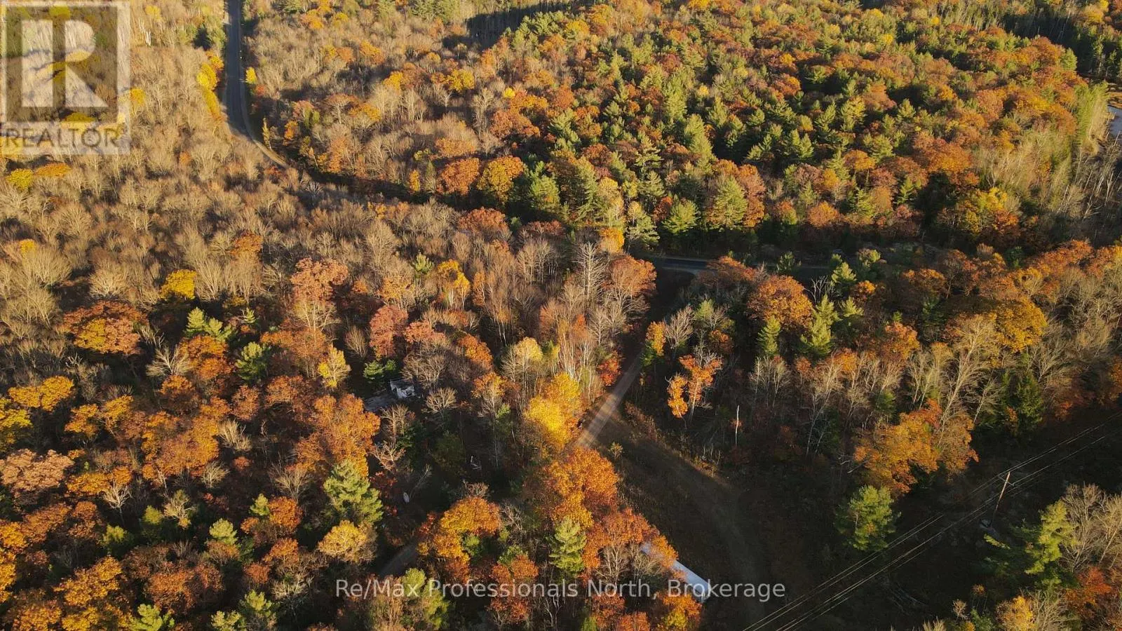 0 MUSKOKA RD 38 ROAD