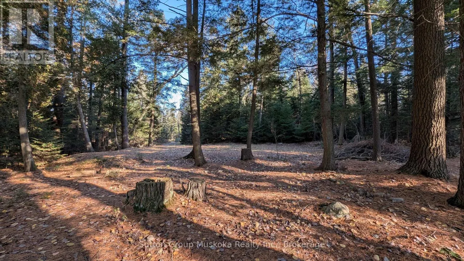 1448 LIMBERLOST ROAD