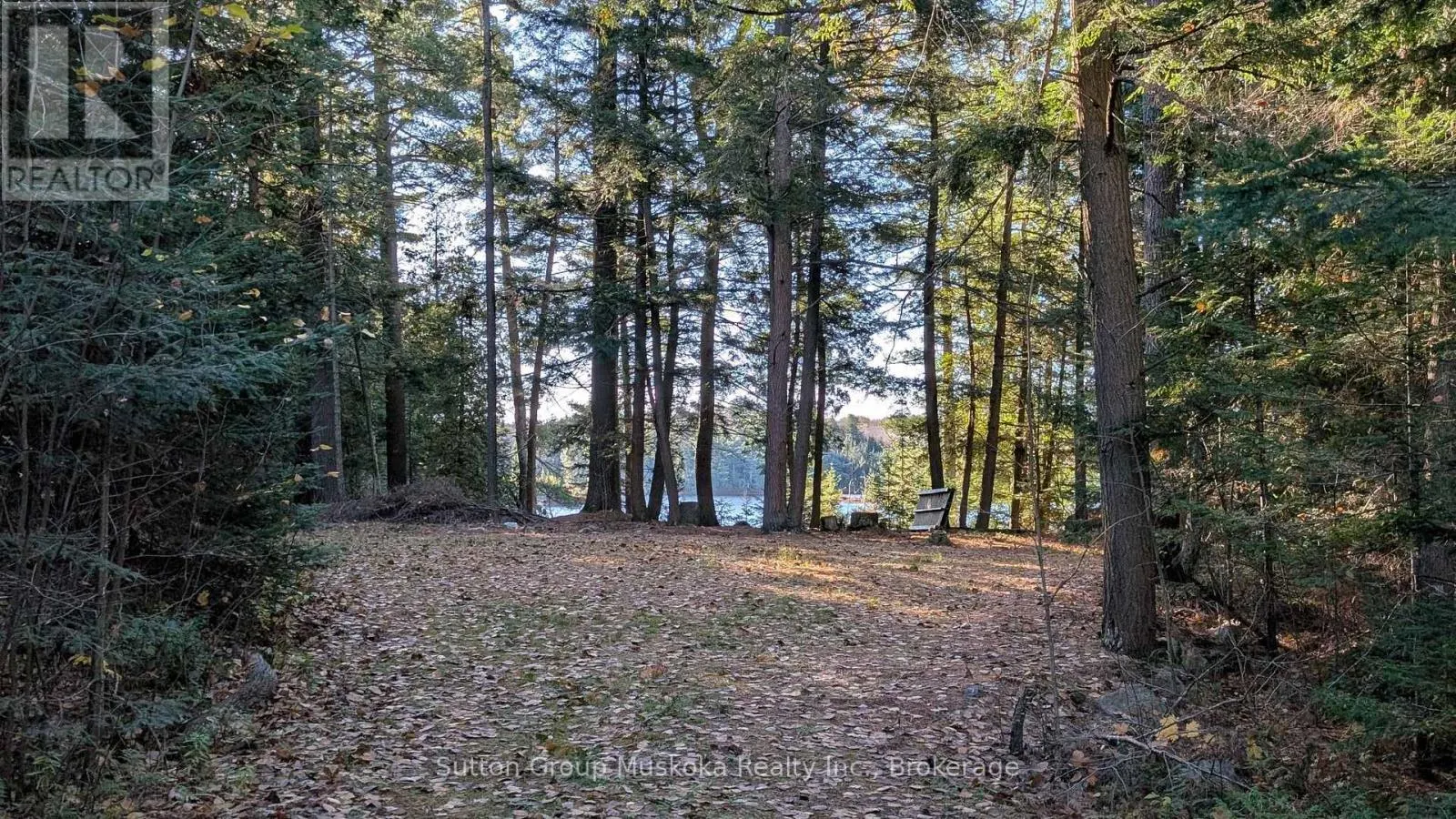 1448 LIMBERLOST ROAD