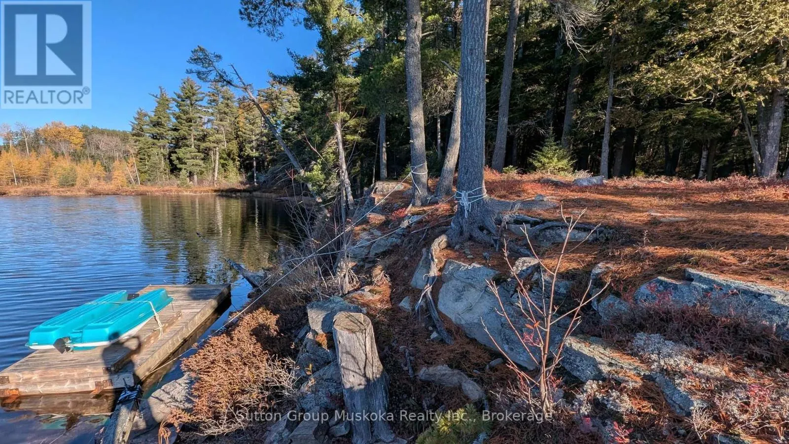 1448 LIMBERLOST ROAD