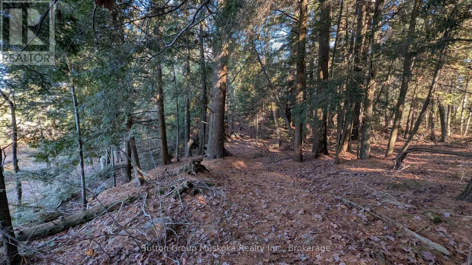 1448 LIMBERLOST ROAD