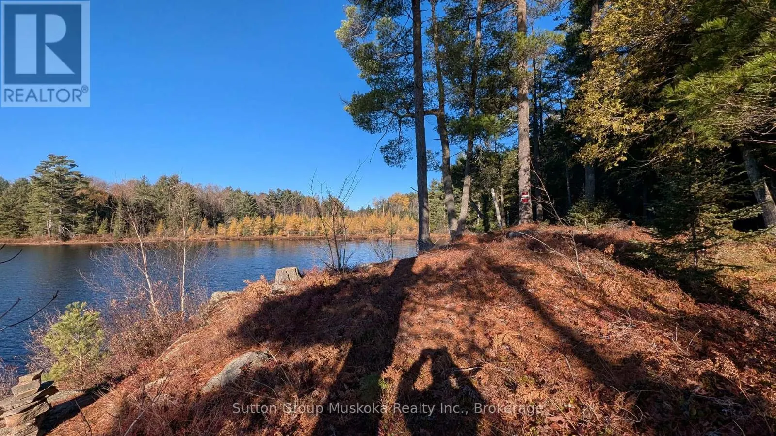 1448 LIMBERLOST ROAD
