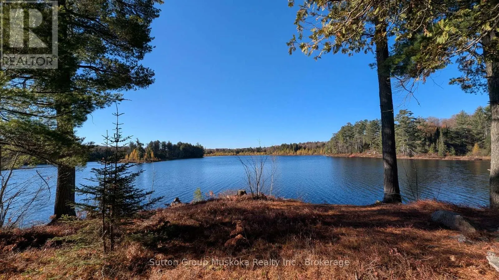 1448 LIMBERLOST ROAD