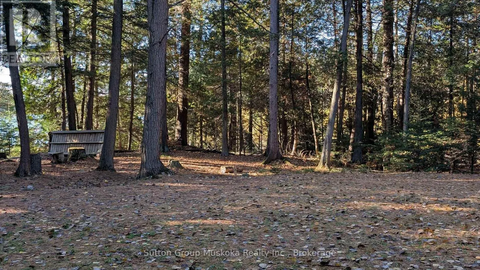 1448 LIMBERLOST ROAD
