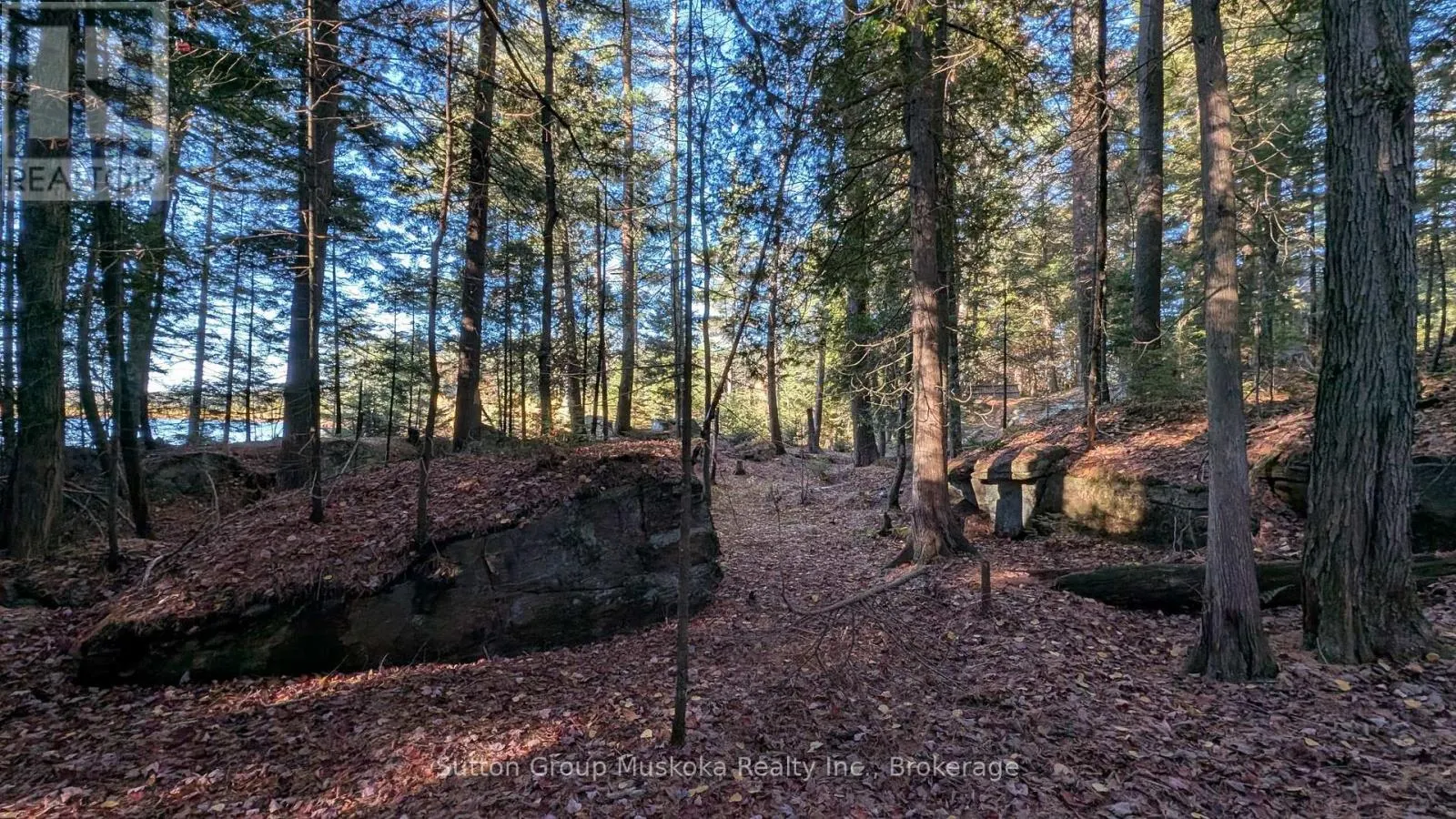 1448 LIMBERLOST ROAD