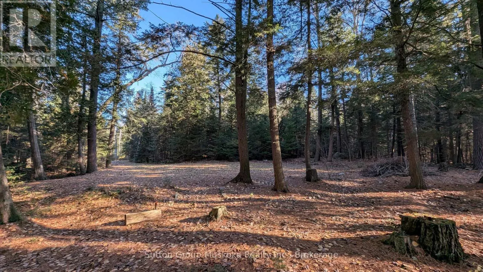 1448 LIMBERLOST ROAD