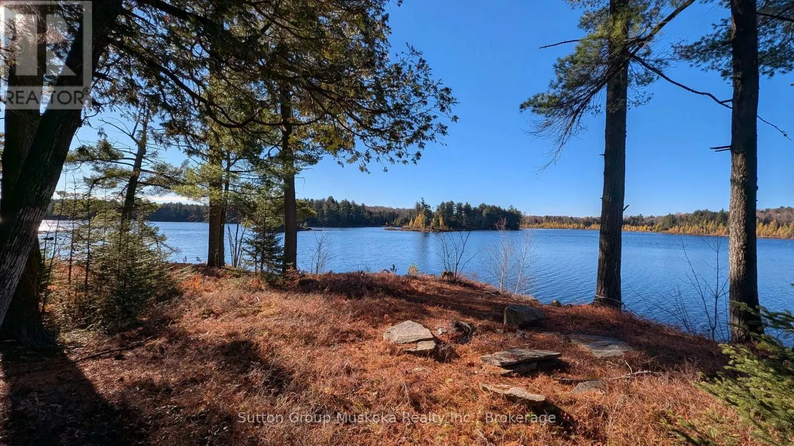 1448 LIMBERLOST ROAD
