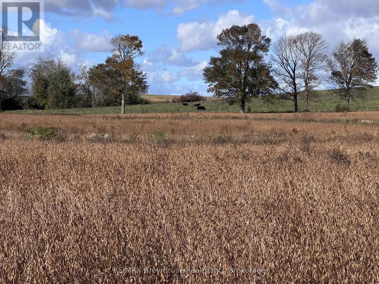 1279 25 ELDERSLIE SIDE ROAD