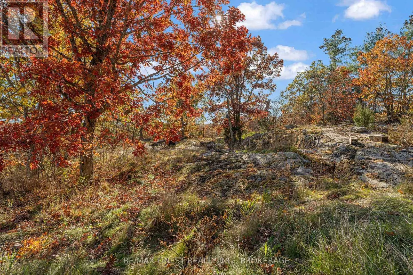 1035 SWEETFERN LANE