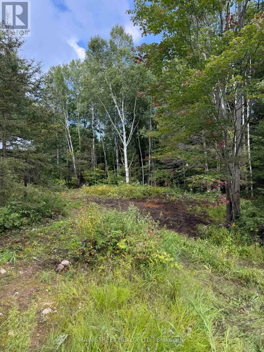 2591 PAPINEAU ROAD