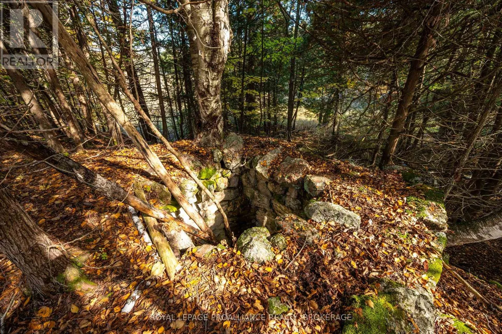 LOT 6 CALIFORNIA ROAD