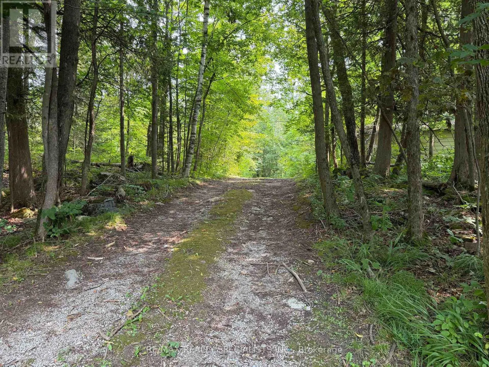 50 SOUTH FORK DRIVE