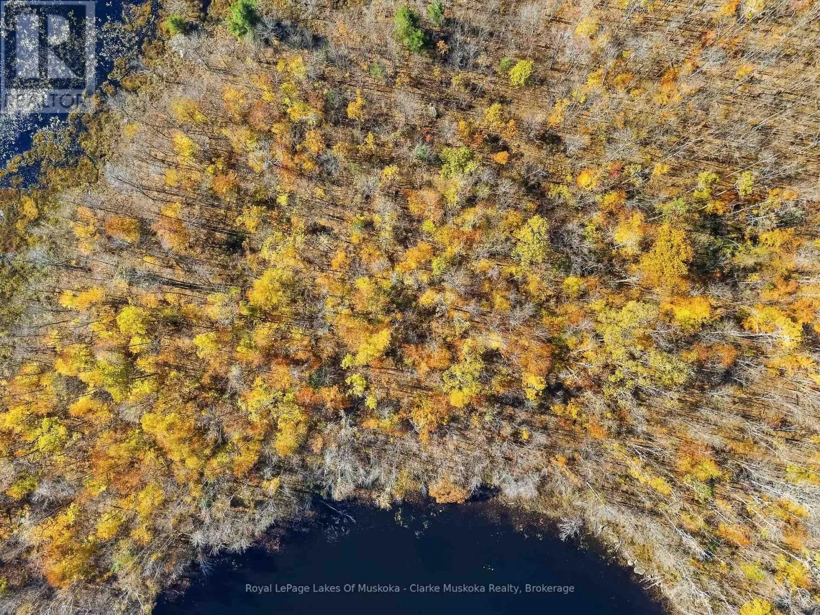LOT 2 - 4805 MUSKOKA 169 ROAD #Lot 2
