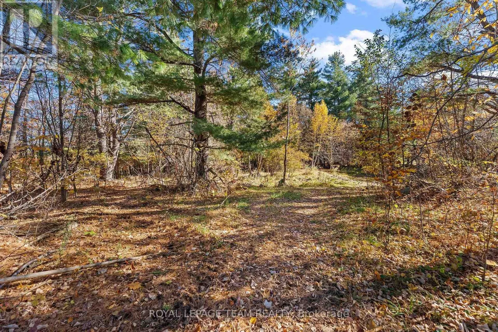 16 ROYAL PINES ROAD
