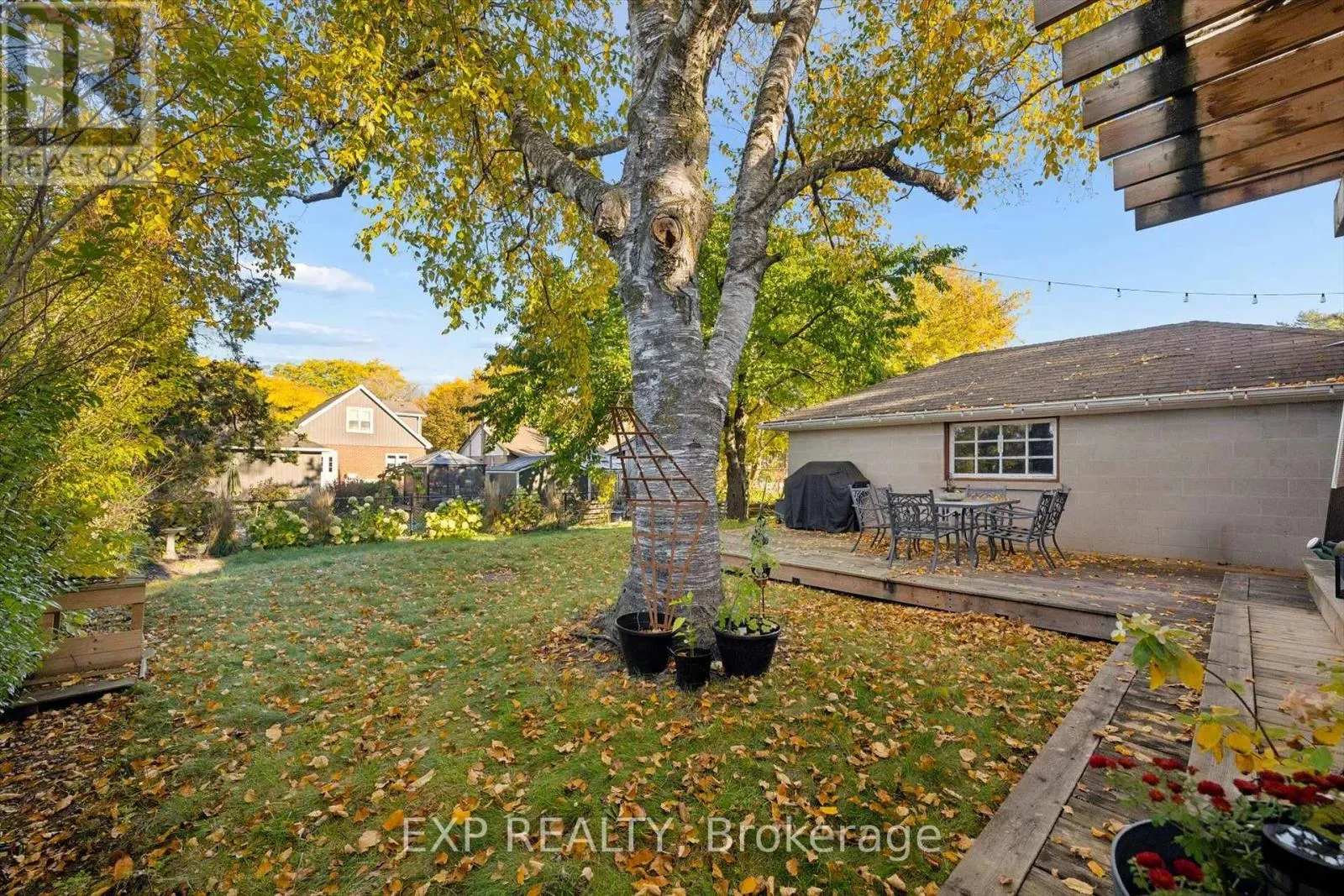 12 LAYTON STREET